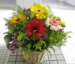 flower3