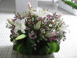 flower6